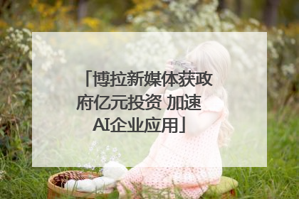 博拉新媒体获政府亿元投资 加速AI企业应用
