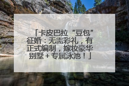 卡皮巴拉“豆包”征婚：无需彩礼，有正式编制，嫁妆豪华别墅＋专属泳池！