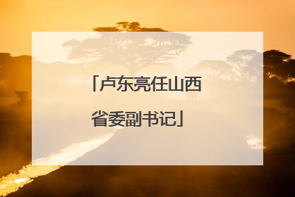 卢东亮任山西省委副书记