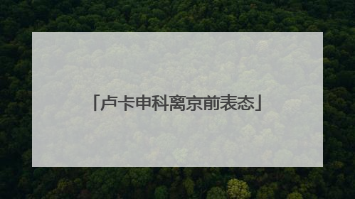 卢卡申科离京前表态