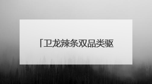 卫龙辣条双品类驱动，领航辣味休闲食品行业千亿赛道