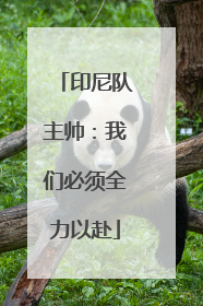 印尼队主帅：我们必须全力以赴
