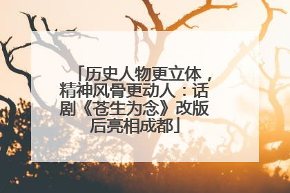 历史人物更立体，精神风骨更动人：话剧《苍生为念》改版后亮相成都