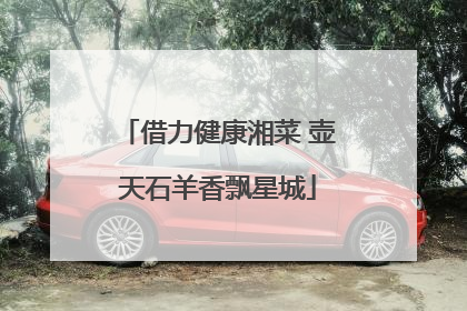 借力健康湘菜 壶天石羊香飘星城