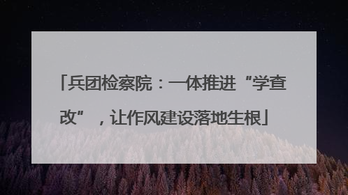 兵团检察院：一体推进“学查改”，让作风建设落地生根