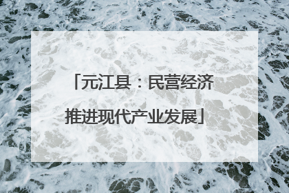 元江县：民营经济推进现代产业发展