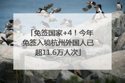 免签国家+4！今年免签入境杭州外国人已超11.6万人次