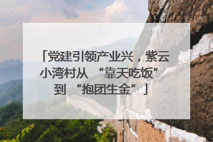 党建引领产业兴，紫云小湾村从 “靠天吃饭” 到 “抱团生金”