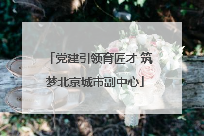 党建引领育匠才 筑梦北京城市副中心