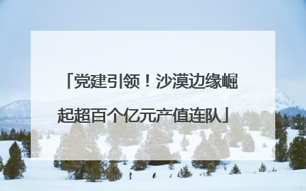 党建引领！沙漠边缘崛起超百个亿元产值连队