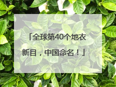 全球第40个地衣新目，中国命名！