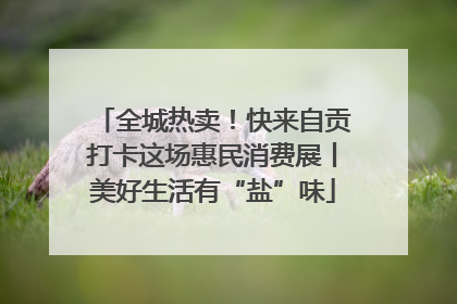 全城热卖！快来自贡打卡这场惠民消费展丨美好生活有“盐”味
