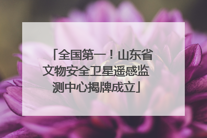 全国第一！山东省文物安全卫星遥感监测中心揭牌成立