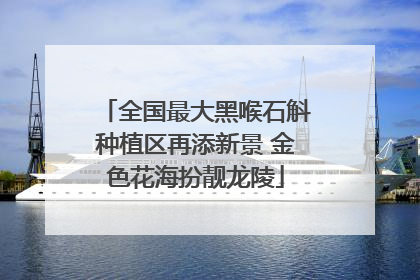全国最大黑喉石斛种植区再添新景 金色花海扮靓龙陵