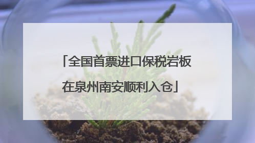 全国首票进口保税岩板在泉州南安顺利入仓