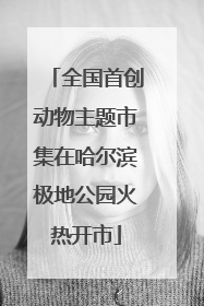 全国首创动物主题市集在哈尔滨极地公园火热开市