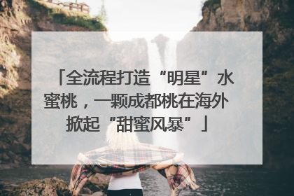 全流程打造“明星”水蜜桃，一颗成都桃在海外掀起“甜蜜风暴”