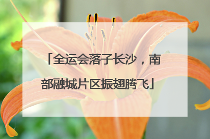 全运会落子长沙，南部融城片区振翅腾飞