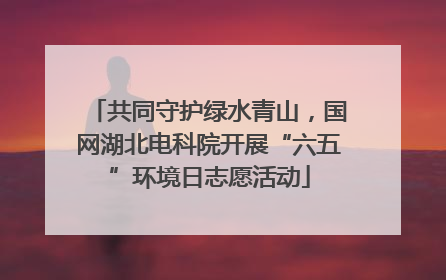共同守护绿水青山，国网湖北电科院开展“六五”环境日志愿活动