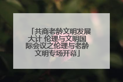 共商老龄文明发展大计 伦理与文明国际会议之伦理与老龄文明专场开幕