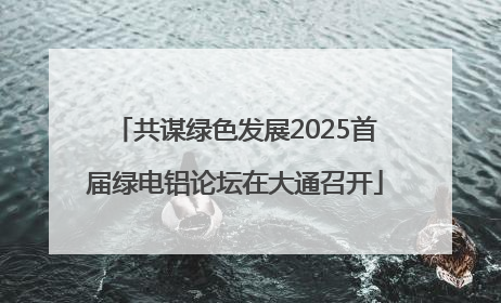 共谋绿色发展2025首届绿电铝论坛在大通召开