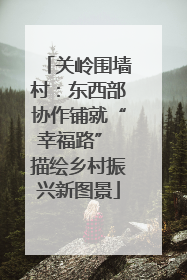 关岭围墙村：东西部协作铺就“幸福路” 描绘乡村振兴新图景
