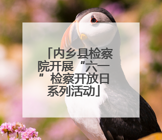 内乡县检察院开展“六一”检察开放日系列活动
