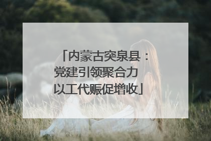 内蒙古突泉县：党建引领聚合力 以工代赈促增收