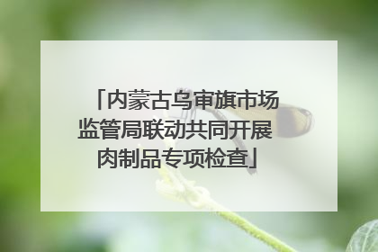 内蒙古乌审旗市场监管局联动共同开展肉制品专项检查