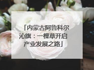 内蒙古阿鲁科尔沁旗：一棵草开启产业发展之路