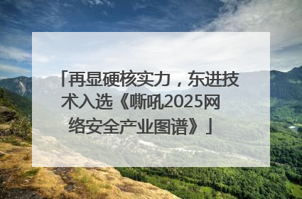 再显硬核实力，东进技术入选《嘶吼2025网络安全产业图谱》