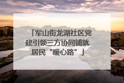 军山街龙湖社区党建引领三方协同铺就居民“暖心路”
