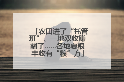农田进了“托管班”、一地双收赚翻了……各地夏粮丰收有“粮”方