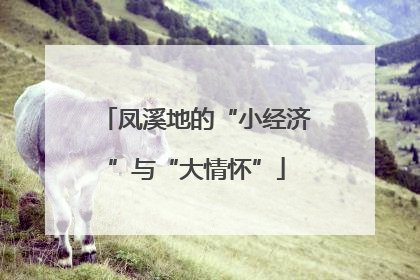 凤溪地的“小经济”与“大情怀”