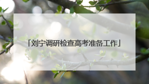 刘宁调研检查高考准备工作