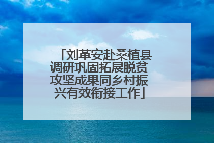 刘革安赴桑植县调研巩固拓展脱贫攻坚成果同乡村振兴有效衔接工作