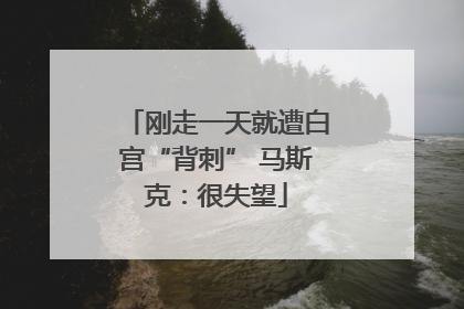 刚走一天就遭白宫“背刺” 马斯克：很失望