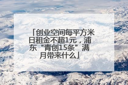 创业空间每平方米日租金不超1元，浦东“青创15条”满月带来什么