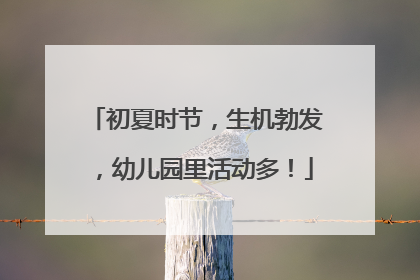 初夏时节，生机勃发，幼儿园里活动多！