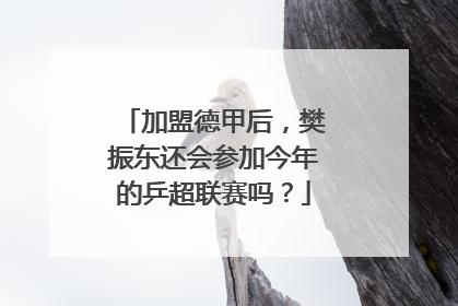 加盟德甲后，樊振东还会参加今年的乒超联赛吗？