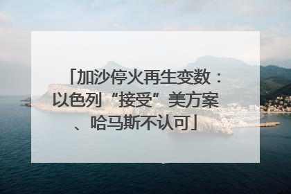 加沙停火再生变数：以色列“接受”美方案、哈马斯不认可