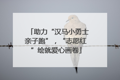助力“汉马小勇士亲子跑”，“志愿红”绘就爱心画卷
