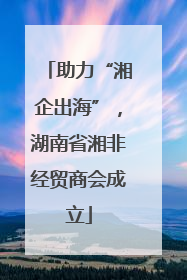 助力“湘企出海”，湖南省湘非经贸商会成立
