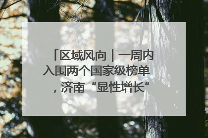 区域风向｜一周内入围两个国家级榜单，济南“显性增长”刷新城市影响力