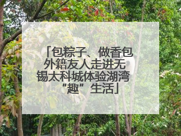 包粽子、做香包 外籍友人走进无锡太科城体验湖湾“趣”生活