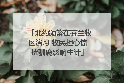 北约频繁在芬兰牧区演习 牧民担心惊扰驯鹿影响生计