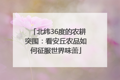 北纬36度的农耕突围：看安丘农品如何征服世界味蕾