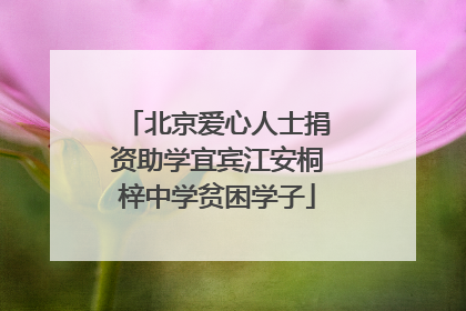 北京爱心人士捐资助学宜宾江安桐梓中学贫困学子