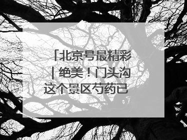 北京号最精彩｜绝美！门头沟这个景区芍药已花开成海