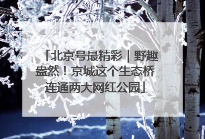 北京号最精彩｜野趣盎然！京城这个生态桥连通两大网红公园